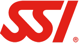 Logo SSI