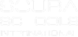 SSI Logo - Scuola